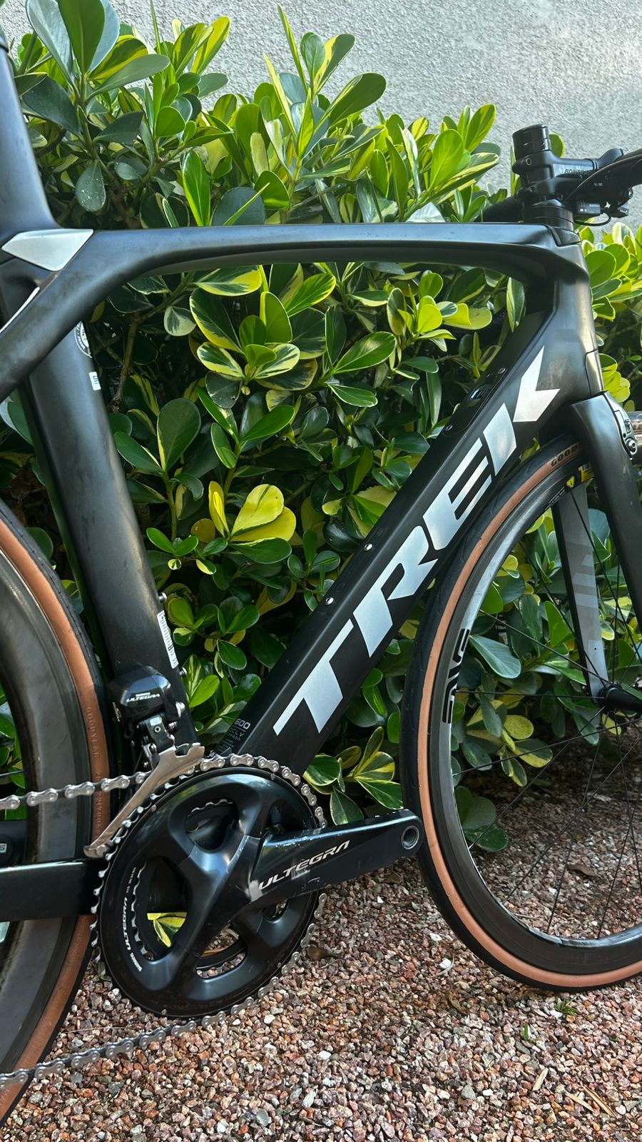 Trek Madone 56