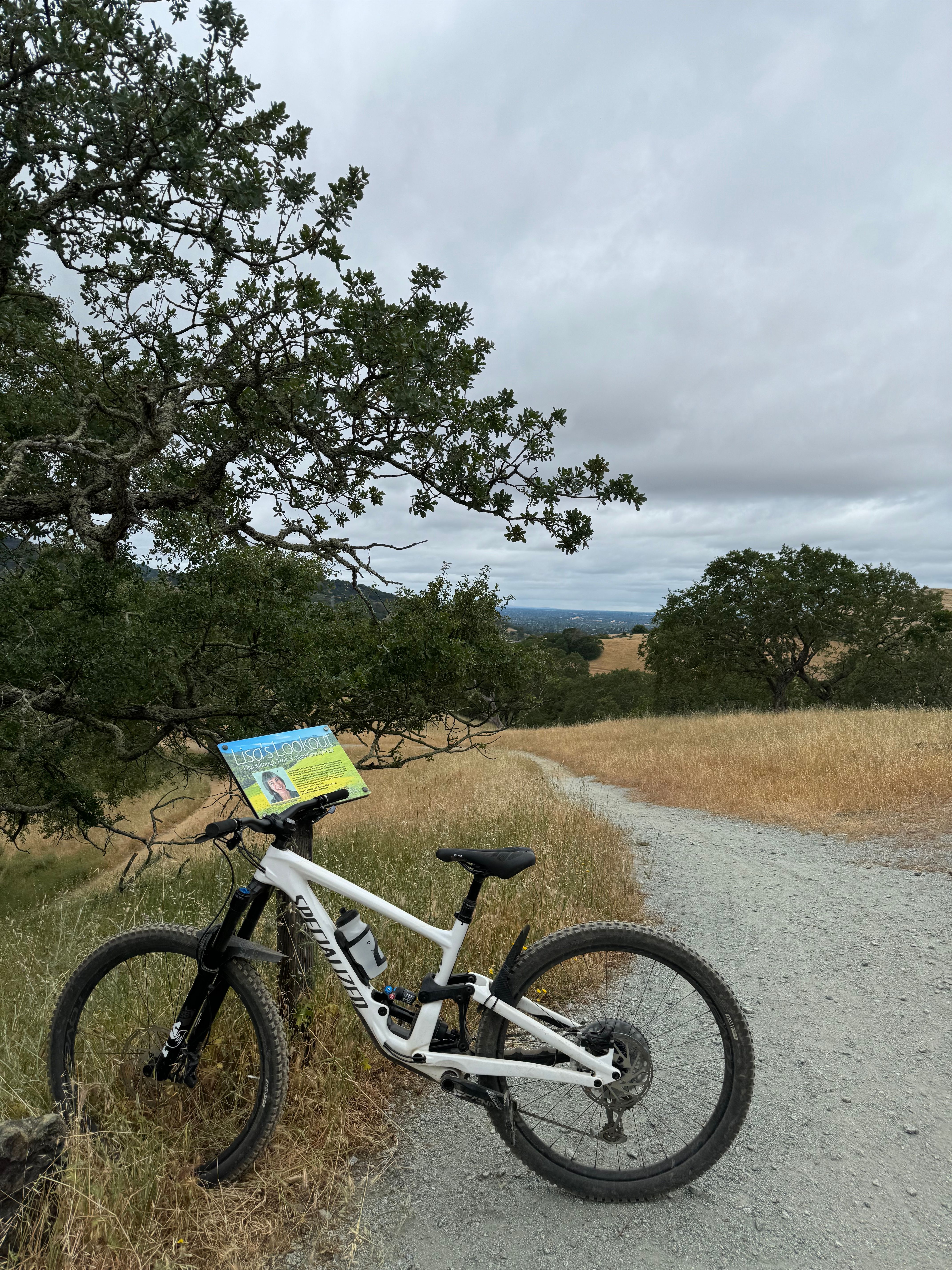 Specialized Enduro Expert 2021